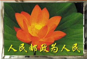 aƷD